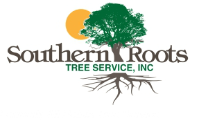 all-points-tree-service Logo